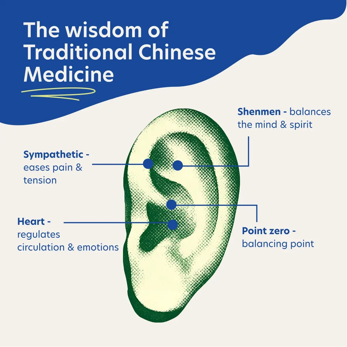 Diagram of an ear with labeled points related to Traditional Chinese Medicine on a blue and white background.